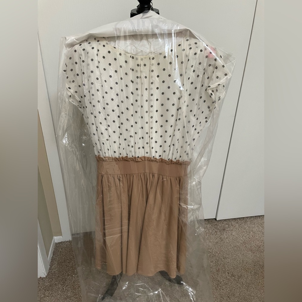 Polka Dot and Tan Dress